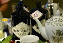 hendricks-gin-