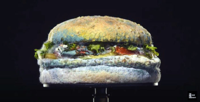 Burger-Kings-Moldy-Whopper-wins-best-of-show