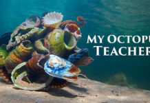 My-Octopus-Teacher-Reuters