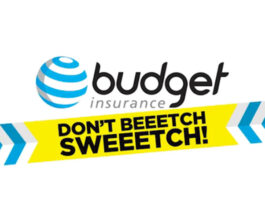 Budget-insurance-don't-beech-sweech